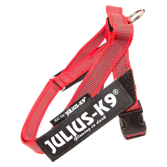JULIUS-K9 шлейка для собак Ремни Color & Gray IDC® 2 (67-97см / 28-40кг), красный СКИДКА 50% JULIUS-K9 шлейка для собак Ремни Color & Gray IDC® 2 (67-97см / 28-40кг), красный СКИДКА 50%