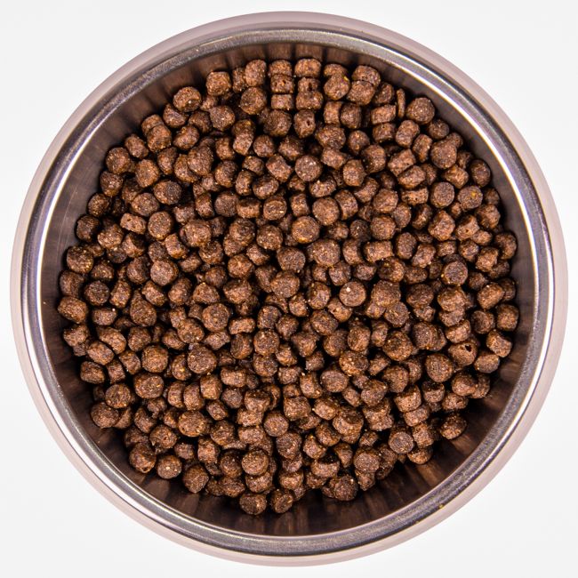 Cухой корм Monge Dog Speciality Line Extra Small корм для взрослых собак миниатюрных пород ягненок с рисом и картофелем 800 г Cухой корм Monge Dog Speciality Line Extra Small корм для взрослых собак миниатюрных пород ягненок с рисом и картофелем 800 г