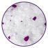Наполнитель впитывающий силикагелевый CAT STEP Arctic Lavender, 15,2 л Наполнитель впитывающий силикагелевый CAT STEP Arctic Lavender, 15,2 л