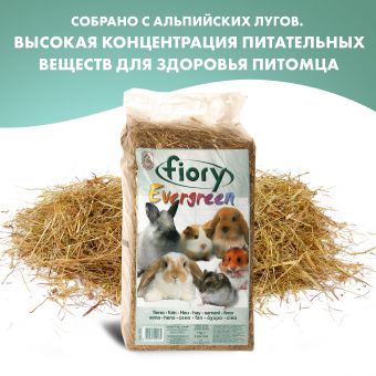 FIORY сено Evergreen 1 кг (30 л) FIORY сено Evergreen 1 кг (30 л)