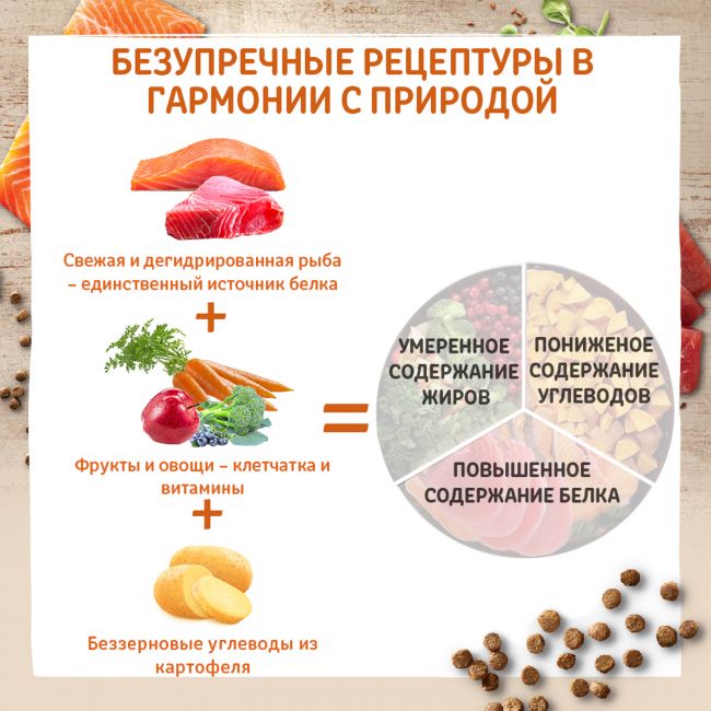 Сухой корм CORE для взрослых кошек, из лосося с тунцом 300 г