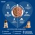 Сухой корм Monge Dog Speciality Line Monoprotein для взрослых собак всех пород, из лосося с рисом 2,5 кг Сухой корм Monge Dog Speciality Line Monoprotein для взрослых собак всех пород, из лосося с рисом 2,5 кг