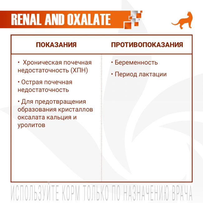 Ветеринарная диета Monge VetSolution Cat Renal and Oxalate Ренал и Оксалат для кошек при ХПН и профилактике образования оксалатов 100 г Ветеринарная диета Monge VetSolution Cat Renal and Oxalate Ренал и Оксалат для кошек при ХПН и профилактике образования оксалатов 100 г