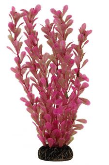 Растение 2564 "Дианея" розовая, 250мм, (пакет) ### Растение 2564 "Дианея" розовая, 250мм, (пакет) ###