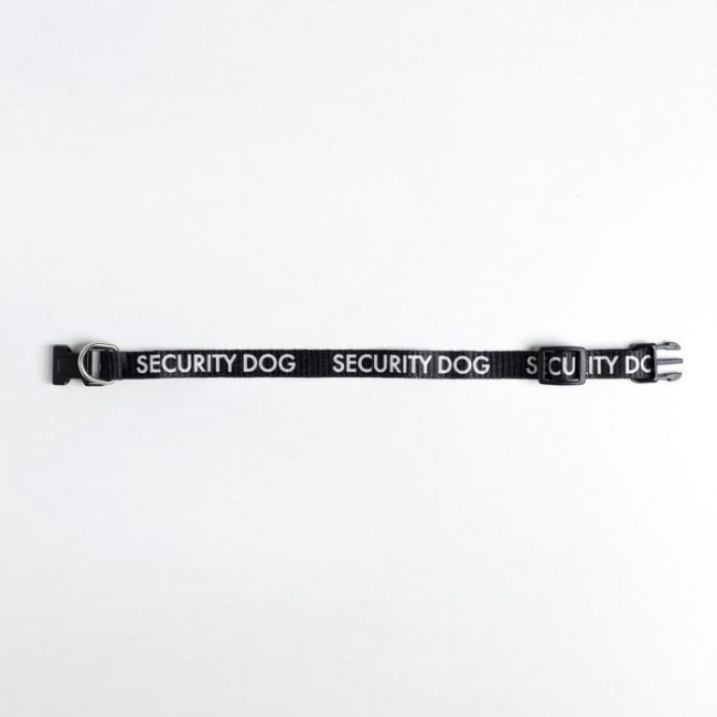 Ошейник для собак с фастексом Security dog, 30 х 1 см Ошейник для собак с фастексом Security dog, 30 х 1 см