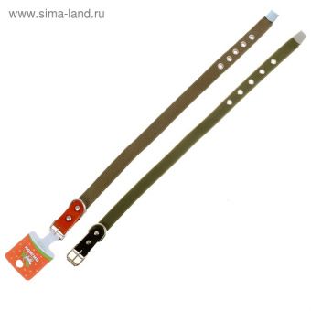 Ошейник брезентовый однослойный, 50 х 2 см, ОШ 25-35 см, хаки Ошейник брезентовый однослойный, 50 х 2 см, ОШ 25-35 см, хаки