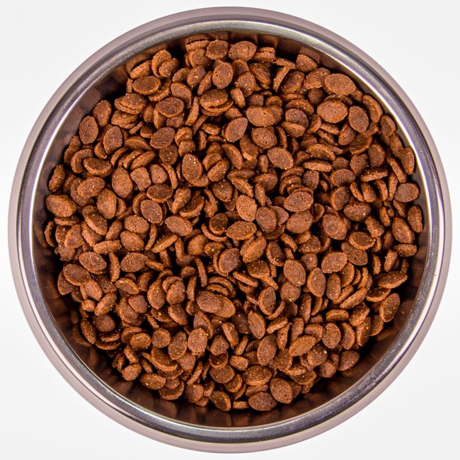 Сухой корм Monge Cat BWild LOW Hare для взрослых кошек, низкозерновой, из мяса зайца 1,5 кг Сухой корм Monge Cat BWild LOW Hare для взрослых кошек, низкозерновой, из мяса зайца 1,5 кг