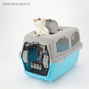 Переноска с 2 люками и креплением для наплечного ремня 58х37х37, до 12 кг, серо-голубая Переноска с 2 люками и креплением для наплечного ремня 58х37х37, до 12 кг, серо-голубая
