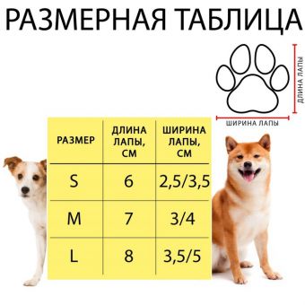 Носки нескользящие "Бантик", размер M (3/4 * 7,5 см), набор 4 шт, красно-голубые Носки нескользящие "Бантик", размер M (3/4 * 7,5 см), набор 4 шт, красно-голубые