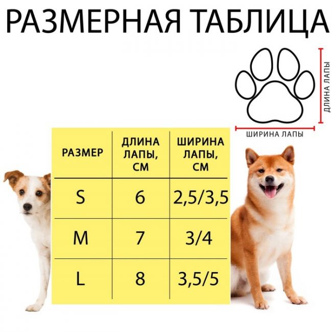 Носки нескользящие "Мешок денег", S (2,5/3,5 * 6 см), набор 4 шт Носки нескользящие "Мешок денег", S (2,5/3,5 * 6 см), набор 4 шт