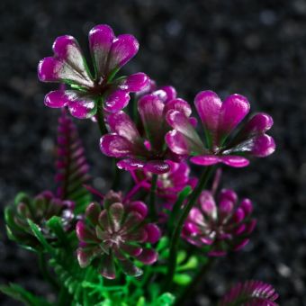 Растение искусственное аквариумное, 3 х 9 см, фиолетово-зелёное, 1 шт. Растение искусственное аквариумное, 3 х 9 см, фиолетово-зелёное, 1 шт.