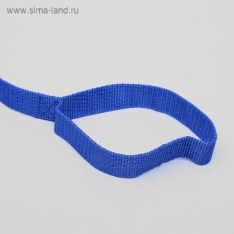 Поводок 5 м х 2,5 см, синий Поводок 5 м х 2,5 см, синий