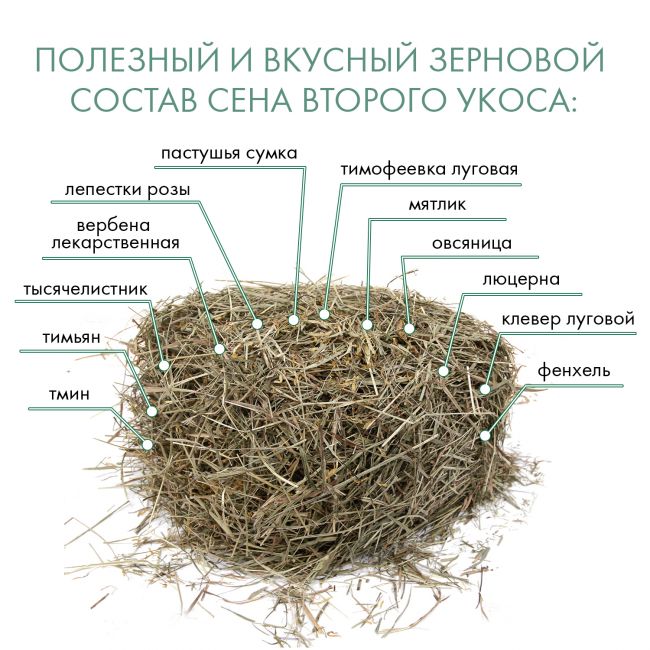 FIORY сено Альпийское Alpiland Yellow с одуванчиком 500 г FIORY сено Альпийское Alpiland Yellow с одуванчиком 500 г