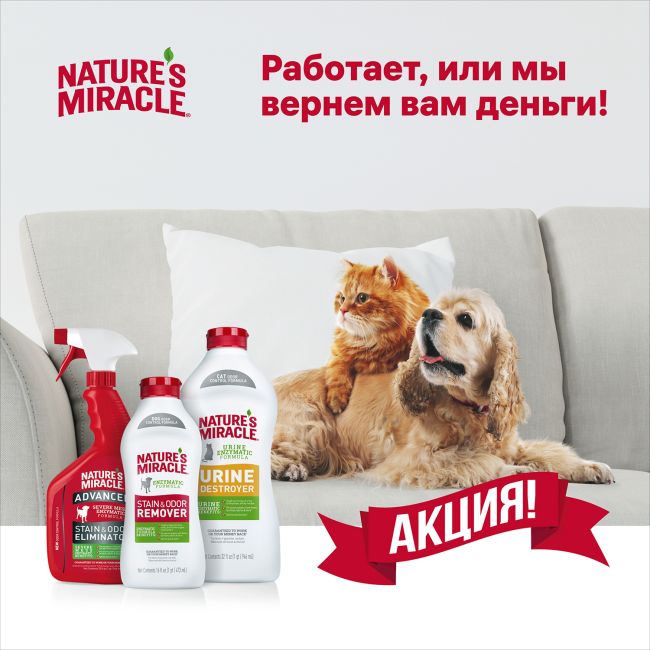 Уничтожитель пятен и запахов от собак Nature's Miracle Orange-Oxy с активным кислородом, спрей 709 мл СКИДКА 40% Уничтожитель пятен и запахов от собак Nature's Miracle Orange-Oxy с активным кислородом, спрей 709 мл СКИДКА 40%