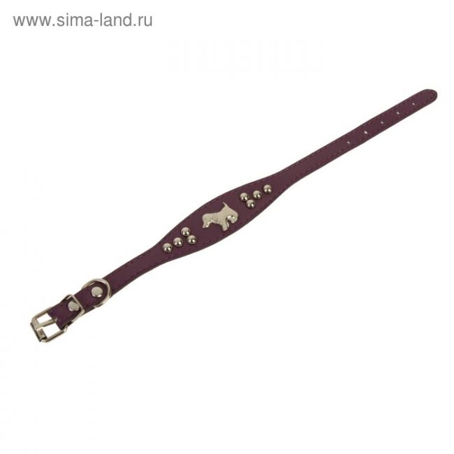 Ошейник-селедка со щенком, 29-32 х 2,5 см, искусственная кожа, фиолетовый Ошейник-селедка со щенком, 29-32 х 2,5 см, искусственная кожа, фиолетовый