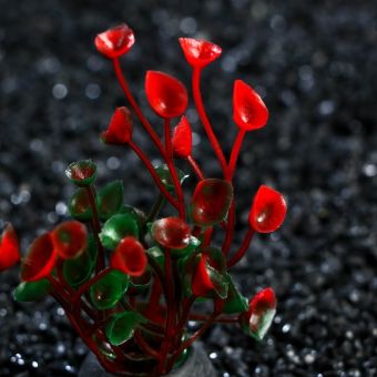 Растение искусственное аквариумное, 5 см, красное, 1 шт. Растение искусственное аквариумное, 5 см, красное, 1 шт.