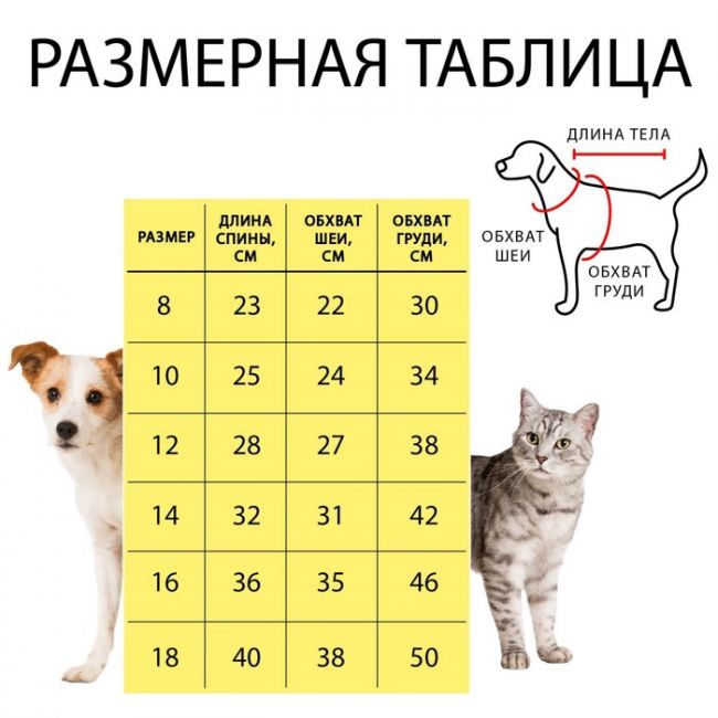 Комбинезон "Космонавт", размер 16 (ДС 36 см, ОГ 46 см, ОШ 35 см), серебряный Комбинезон "Космонавт", размер 16 (ДС 36 см, ОГ 46 см, ОШ 35 см), серебряный