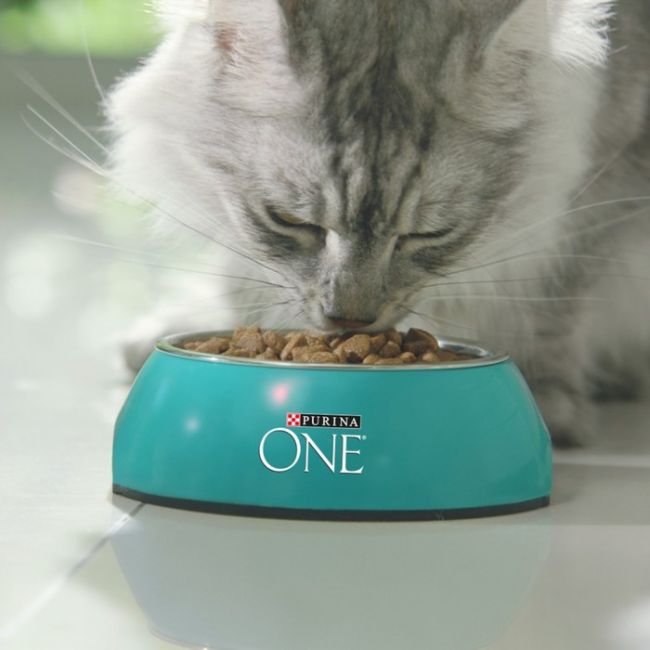 Сухой корм Purinа One для кошек, индейка/рис, 1.5 кг Сухой корм Purinа One для кошек, индейка/рис, 1.5 кг