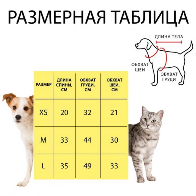 Куртка для собак "Цветной бум", размер XS (ДС 20, ОГ 32, ОШ 21 см) Куртка для собак "Цветной бум", размер XS (ДС 20, ОГ 32, ОШ 21 см)