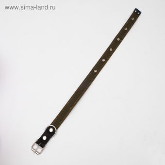 Ошейник брезентовый на фетре, 64 х 3 см, ОШ 30-55 см, тёмно-зелёный
