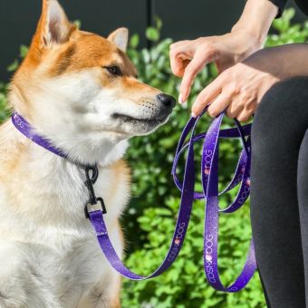 Поводок COSMO DOG, 2 см 1,5 м Поводок COSMO DOG, 2 см 1,5 м