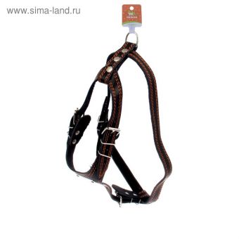 Шлейка кожаная "Караульная", 2,5 см, ОШ40-66 см, ОГ 81-100 см, микс цветов Шлейка кожаная "Караульная", 2,5 см, ОШ40-66 см, ОГ 81-100 см, микс цветов