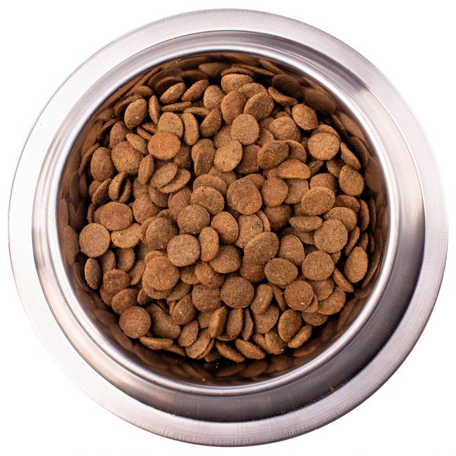 Сухой корм Gemon Dog Mini для взрослых собак мелких пород, с лососем и рисом 3 кг Сухой корм Gemon Dog Mini для взрослых собак мелких пород, с лососем и рисом 3 кг