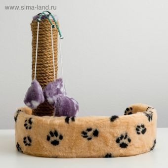 Лежанка с когтеточкой для котят, 34 х 26 х 34 см, джут, микс цветов Лежанка с когтеточкой для котят, 34 х 26 х 34 см, джут, микс цветов