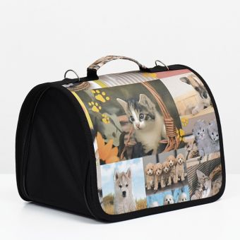 Сумка-переноска с принтом, 31 х 20,5 х 23 см, микс цветов Сумка-переноска с принтом, 31 х 20,5 х 23 см, микс цветов