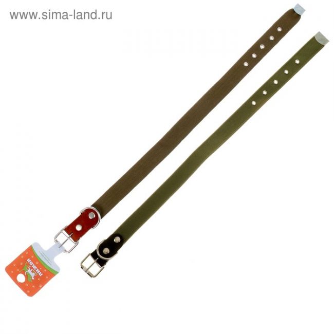 Ошейник брезентовый однослойный, 73 х 3.6 см, ОШ 45-60 см, хаки Ошейник брезентовый однослойный, 73 х 3.6 см, ОШ 45-60 см, хаки