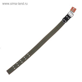 Ошейник брезентовый двухслойный, 82,5 х 4,5 см, ОШ 50-70 см