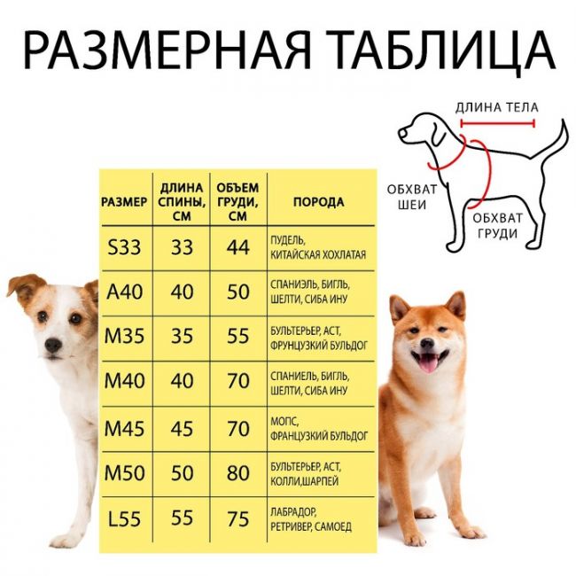 Комбинезон-дождевик (M50) для бультерьера, АСТа, колли, шарпея (мальчик), красный Комбинезон-дождевик (M50) для бультерьера, АСТа, колли, шарпея (мальчик), красный
