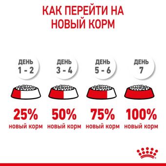 Сухой корм RC Kitten Sterilised для стерилизованных котят, 2 кг Сухой корм RC Kitten Sterilised для стерилизованных котят, 2 кг