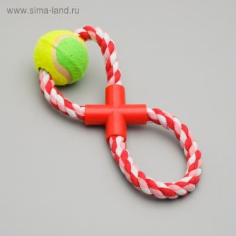 Игрушка тренировочная канатная "Восьмёрка с мячом", до 28 см, до 170 г, микс цветов Игрушка тренировочная канатная "Восьмёрка с мячом", до 28 см, до 170 г, микс цветов