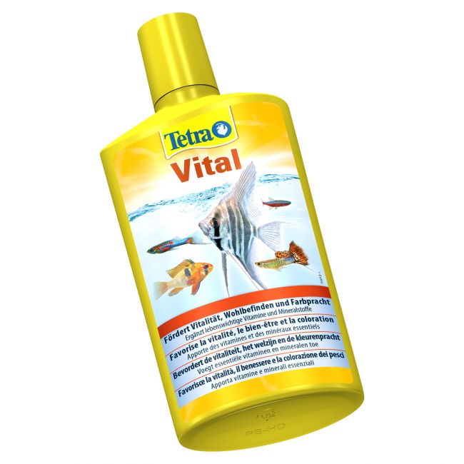 Tetra Vital кондиционер для создания естественных условий в аквариуме 500 мл СКИДКА 30% Tetra Vital кондиционер для создания естественных условий в аквариуме 500 мл СКИДКА 30%