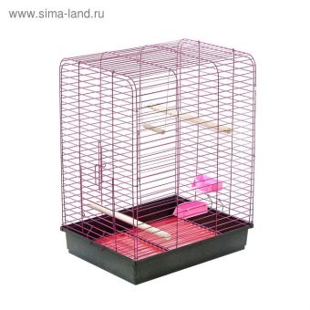 Клетка для корелл "Рикки 3", 50 х 40 х 63 см, микс цветов Клетка для корелл "Рикки 3", 50 х 40 х 63 см, микс цветов