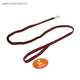Поводок амортизирующий, 1,2-1,6 м х 1,5 см, чёрно-красный