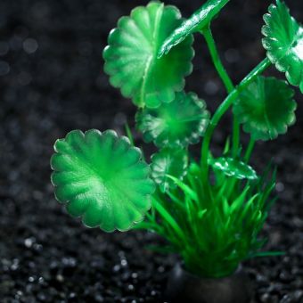 Растение искусственное аквариумное, 10 см, зелёное, 1 шт. Растение искусственное аквариумное, 10 см, зелёное, 1 шт.