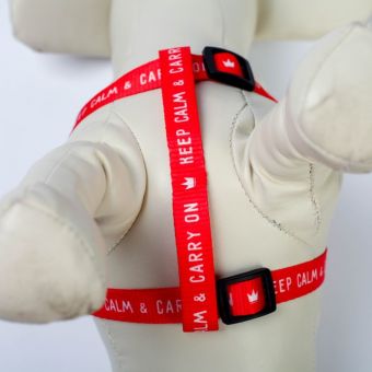 Комплект Keep calm &carry on, шлейка 36-49 см, поводок 120х1,5 см