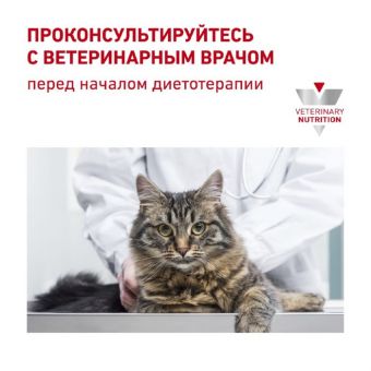 Сухой корм RC Renal для кошек, 4 кг Сухой корм RC Renal для кошек, 4 кг