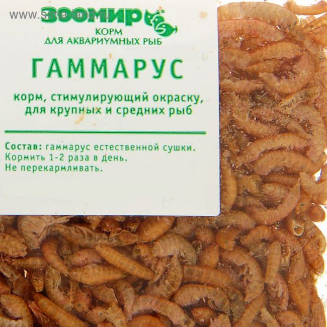 Корм для рыб и черепах "ЗООМИР" Гаммарус, тушка, 10 г Корм для рыб и черепах "ЗООМИР" Гаммарус, тушка, 10 г