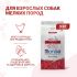 Сухой корм Monge Dog Daily Line Mini для взрослых собак мелких пород, из курицы 3 кг Сухой корм Monge Dog Daily Line Mini для взрослых собак мелких пород, из курицы 3 кг