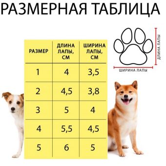 Ботинки "Кристмес", набор 4 шт, 2 размер, красные Ботинки "Кристмес", набор 4 шт, 2 размер, красные