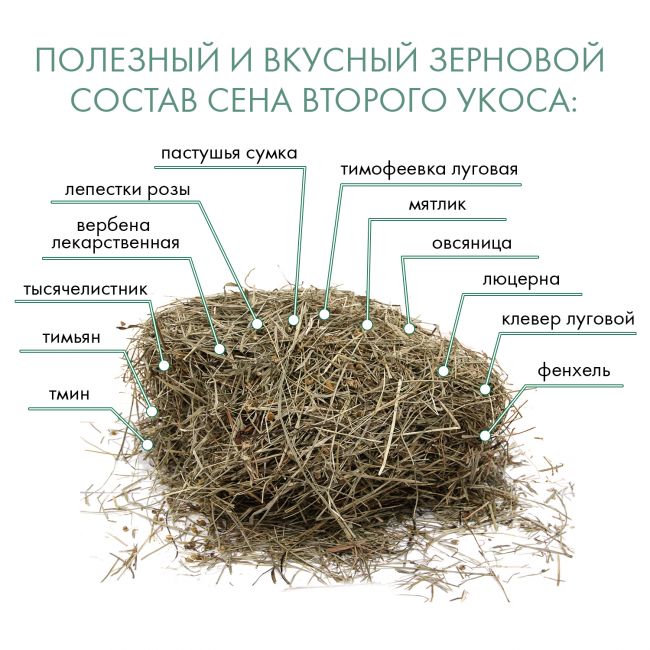 FIORY сено Альпийское Alpiland Camomile с ромашкой 500 г FIORY сено Альпийское Alpiland Camomile с ромашкой 500 г