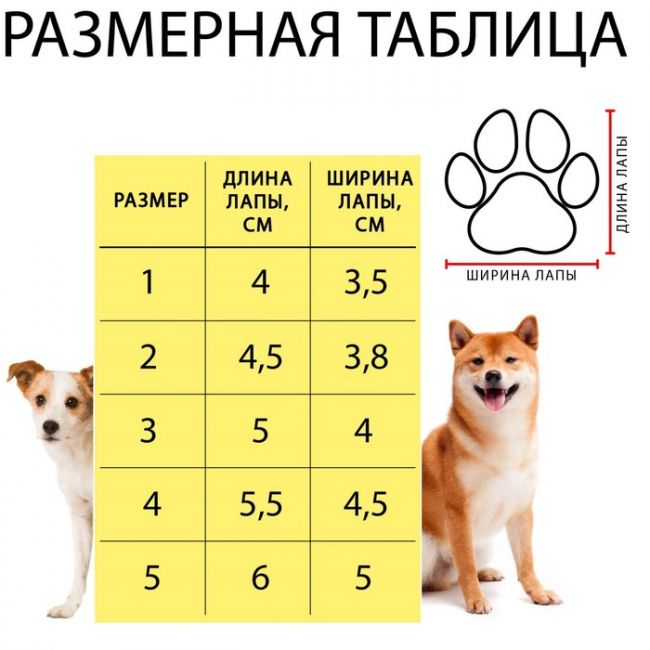 Ботинки "Кристмес", набор 4 шт, размер 3 (подошва 5 х 4 см), красные Ботинки "Кристмес", набор 4 шт, размер 3 (подошва 5 х 4 см), красные