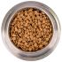 Сухой корм Monge Cat BWild GRAIN FREE для кошек, из лосося, беззерновой, 1,5 кг Сухой корм Monge Cat BWild GRAIN FREE для кошек, из лосося, беззерновой, 1,5 кг