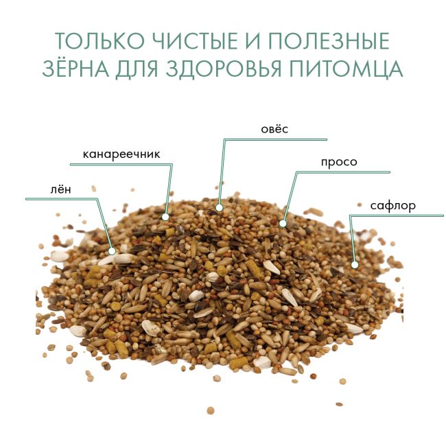 FIORY корм для волнистых попугаев Pappagallini 400 г FIORY корм для волнистых попугаев Pappagallini 400 г