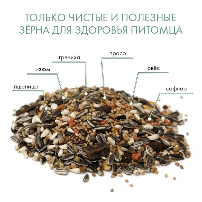 FIORY корм для средних попугаев Parrocchetti African 800 г FIORY корм для средних попугаев Parrocchetti African 800 г