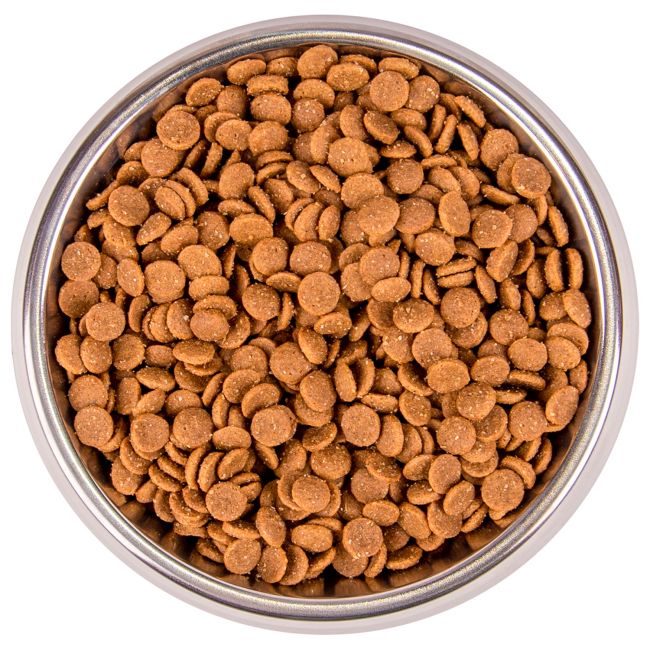 Сухой корм Monge Cat BWild LOW GRAIN Kitten, для котят, низкозерновой, из мяса гуся 1,5 кг Сухой корм Monge Cat BWild LOW GRAIN Kitten, для котят, низкозерновой, из мяса гуся 1,5 кг