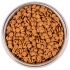 Сухой корм Monge Cat BWild LOW GRAIN Kitten, для котят, низкозерновой, из мяса гуся 1,5 кг Сухой корм Monge Cat BWild LOW GRAIN Kitten, для котят, низкозерновой, из мяса гуся 1,5 кг